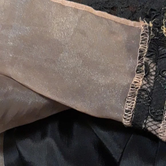 Lillie Rubin lace & chiffon formal dress - Picture 6 of 8